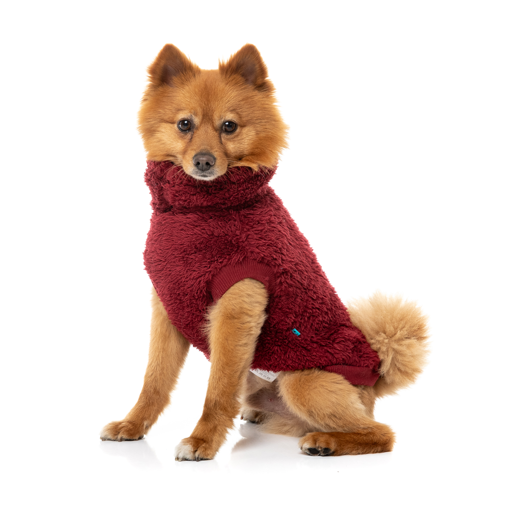 Turtle Teddy Sweater - Maroon