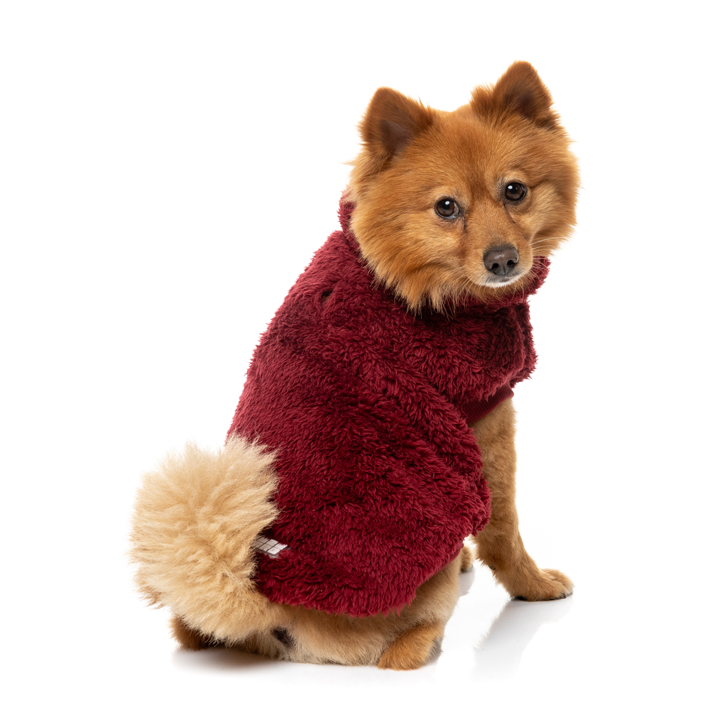 Turtle Teddy Sweater - Maroon