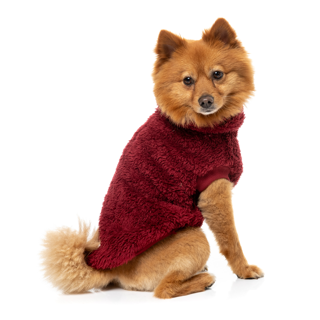 Turtle Teddy Sweater - Maroon
