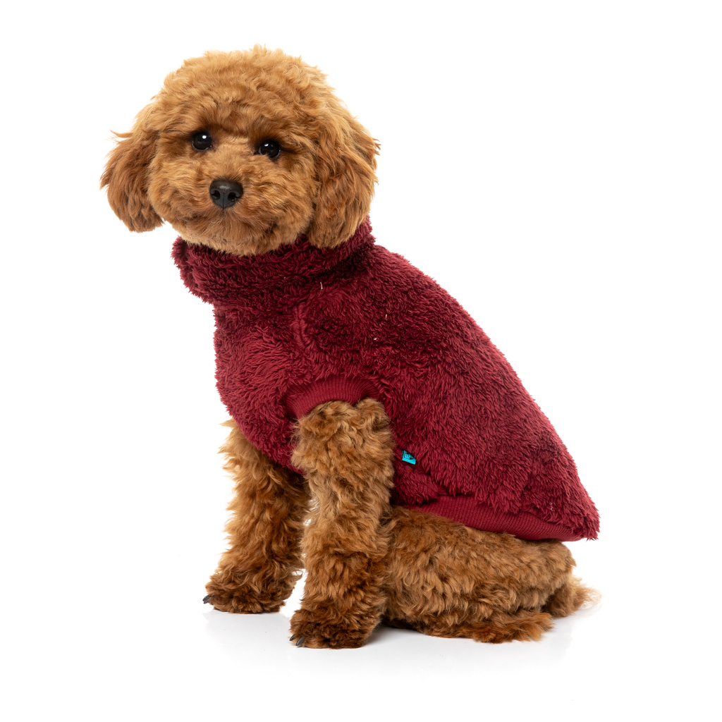 Turtle Teddy Sweater - Maroon