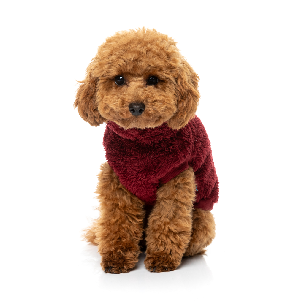 Turtle Teddy Sweater - Maroon