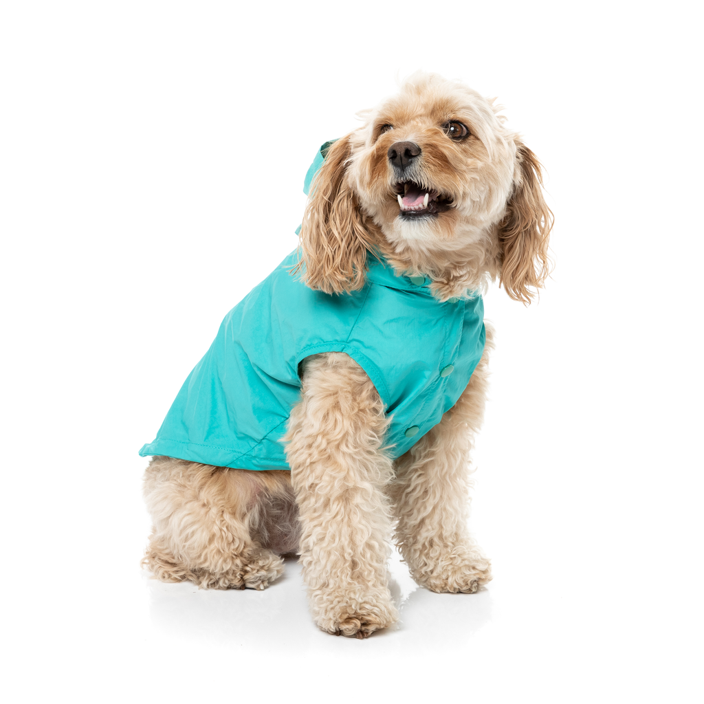 Evo Raincoat - Teal