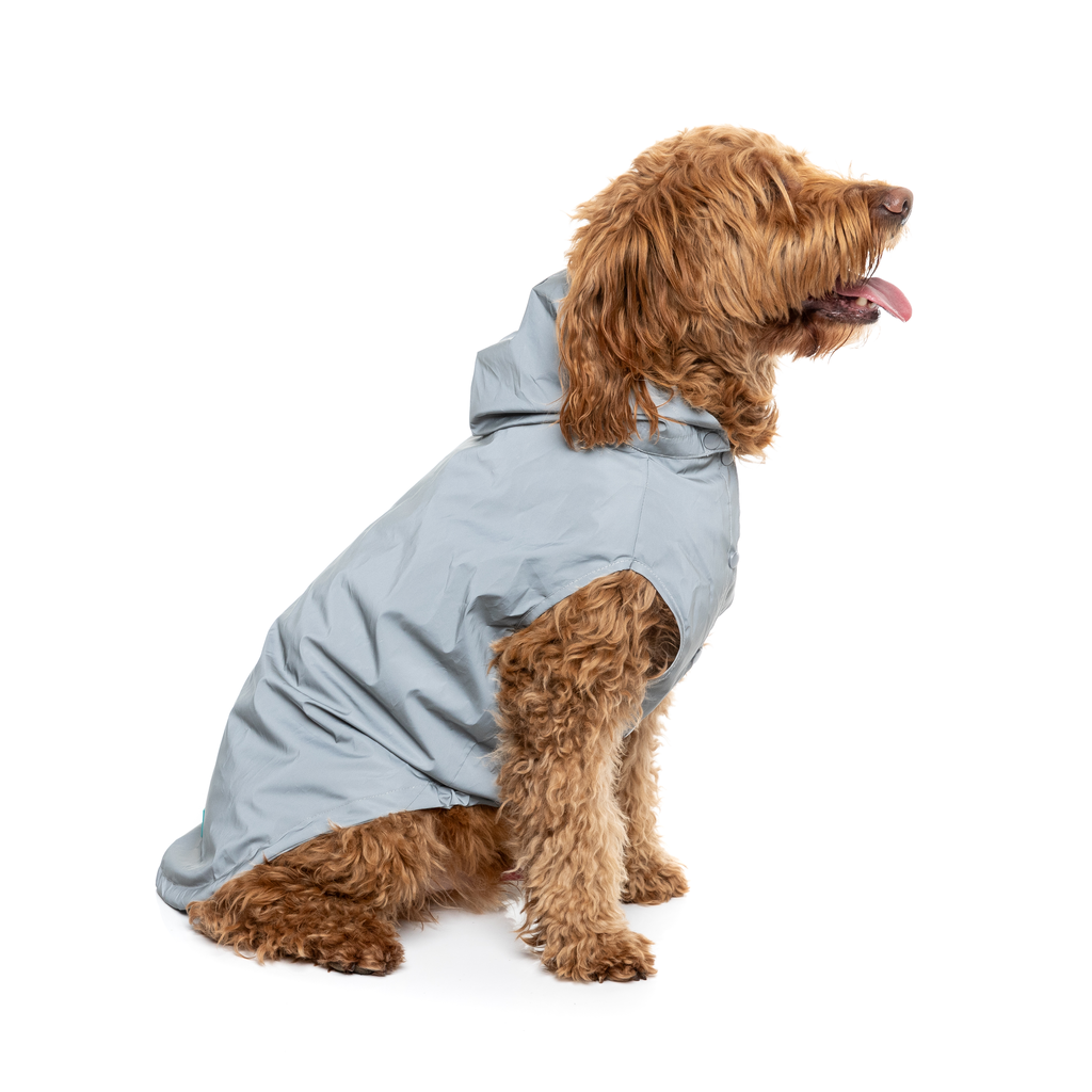Evo Raincoat - Reflective