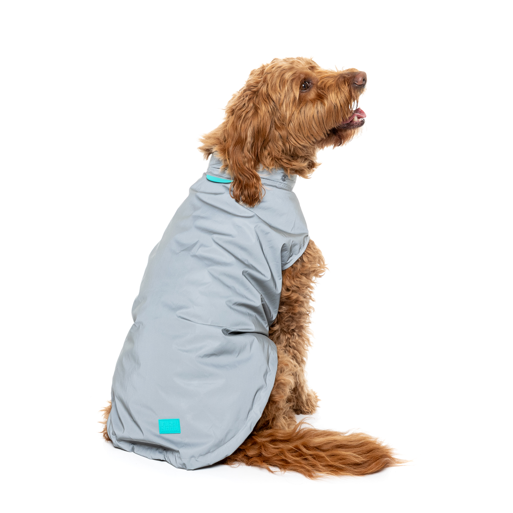 Evo Raincoat - Reflective