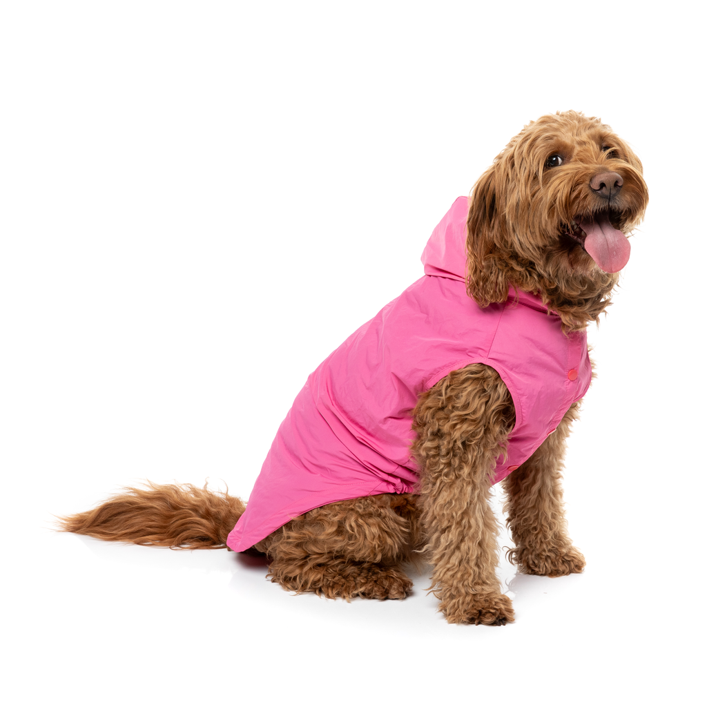 Evo Raincoat - Pink
