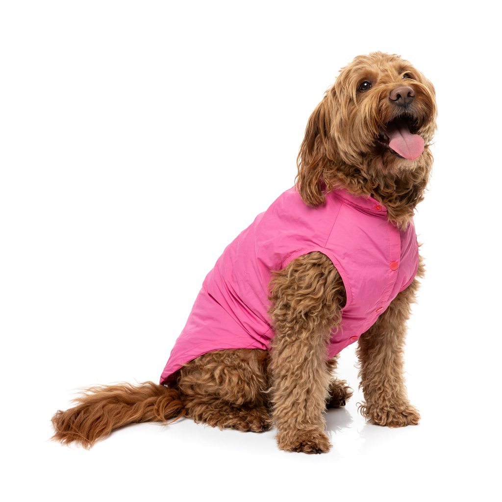 Evo Raincoat - Pink