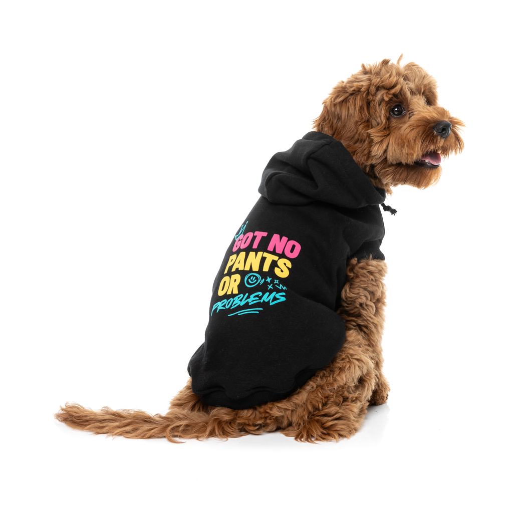 Dog Hoodie - Got No Pants