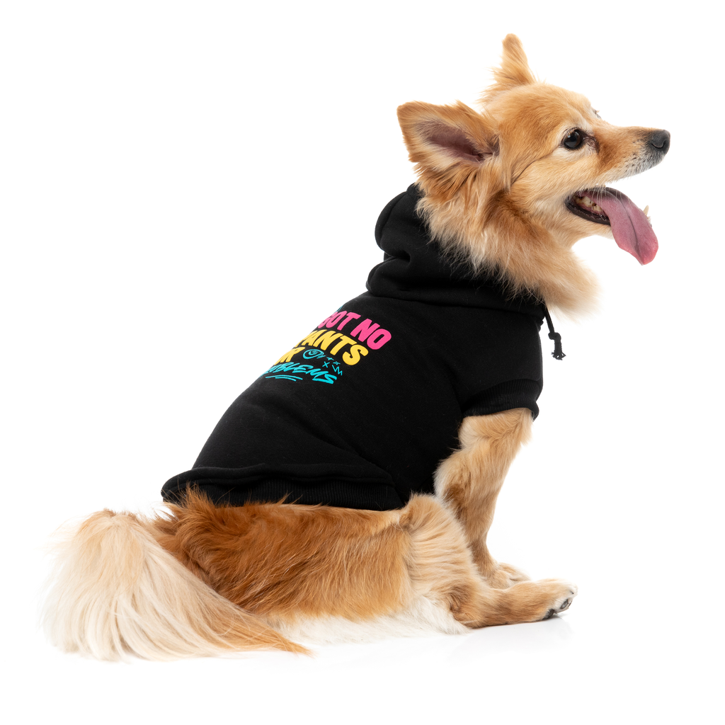 Dog Hoodie - Got No Pants