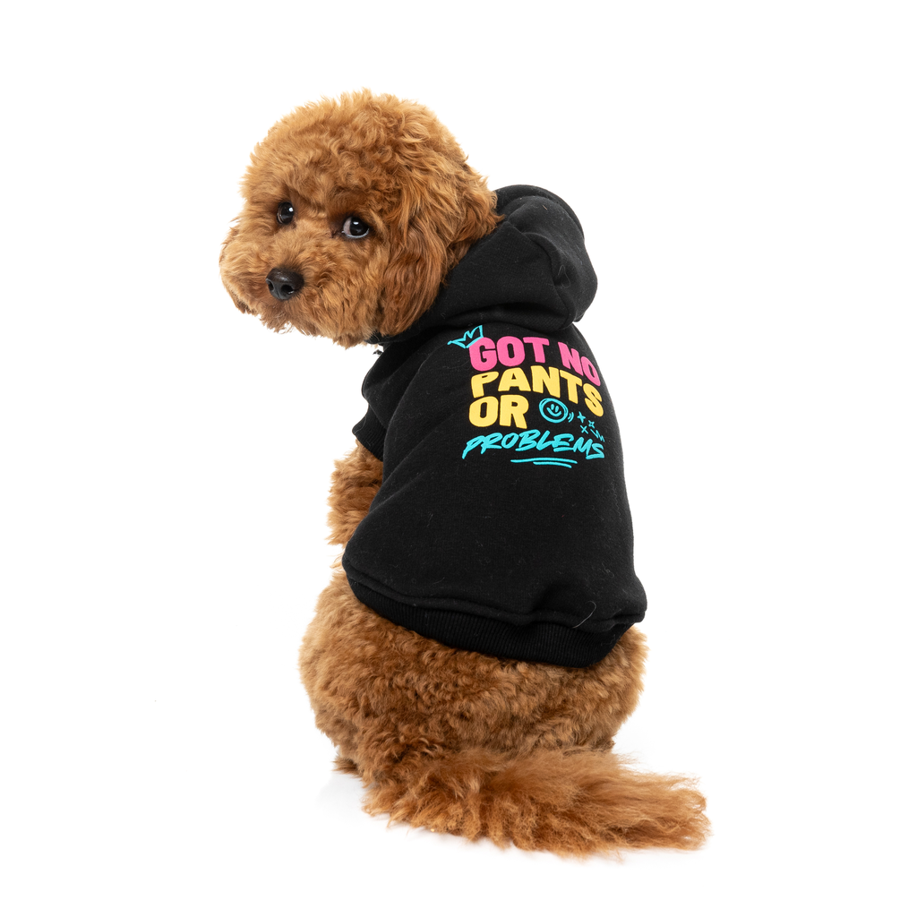 Dog Hoodie - Got No Pants