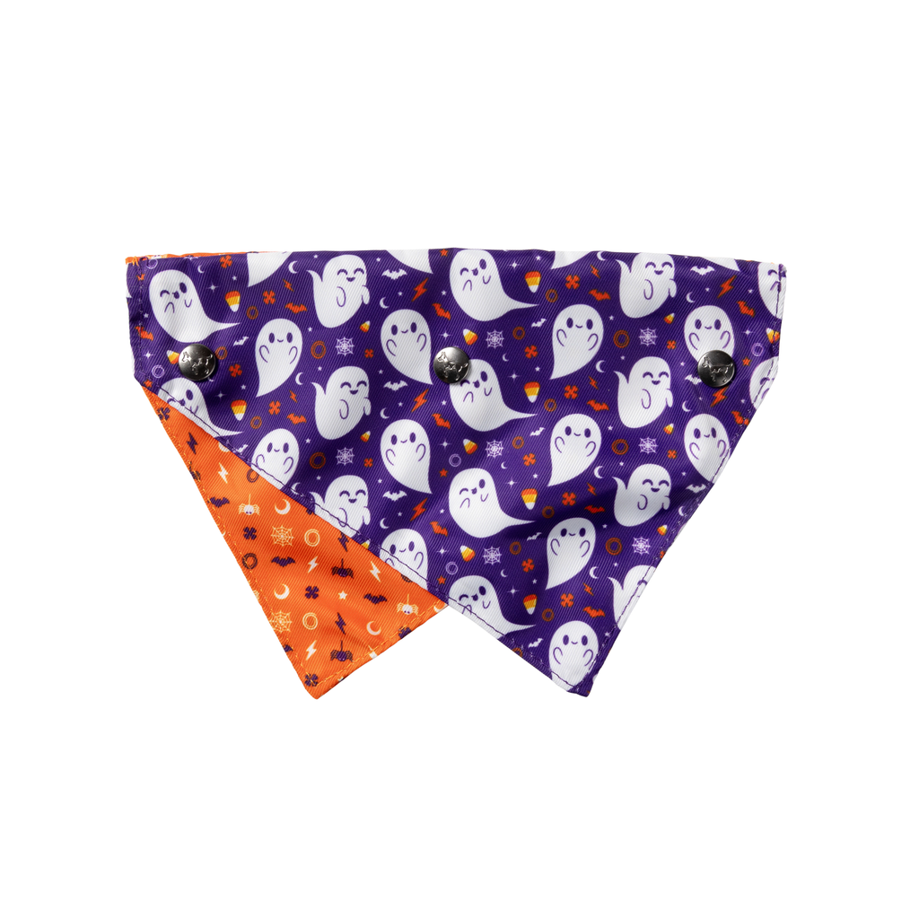 Bandana de Halloween para perros y gatos FuzzYard Spooky Spirits