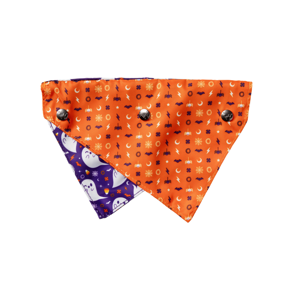 Spooky Spirits – Bandana für Hunde und Katzen