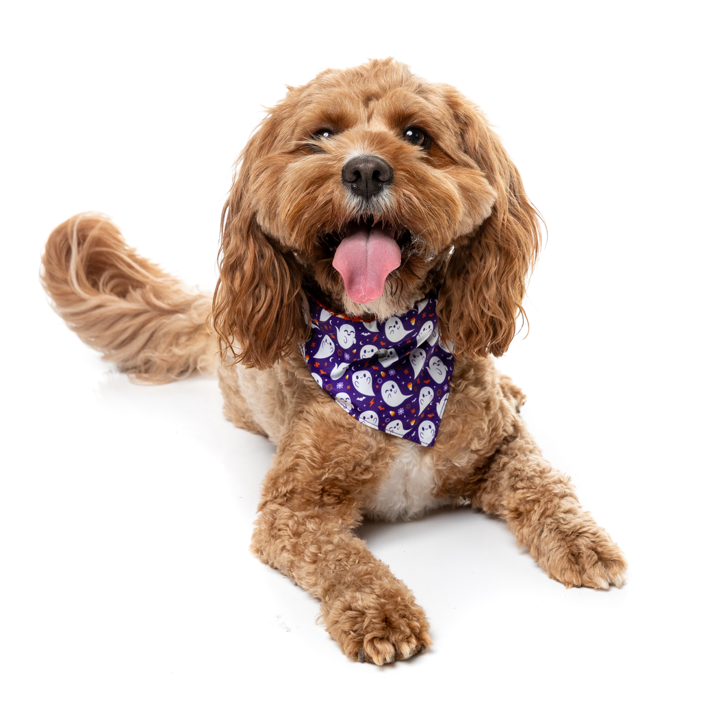 Spooky Spirits – Bandana für Hunde und Katzen