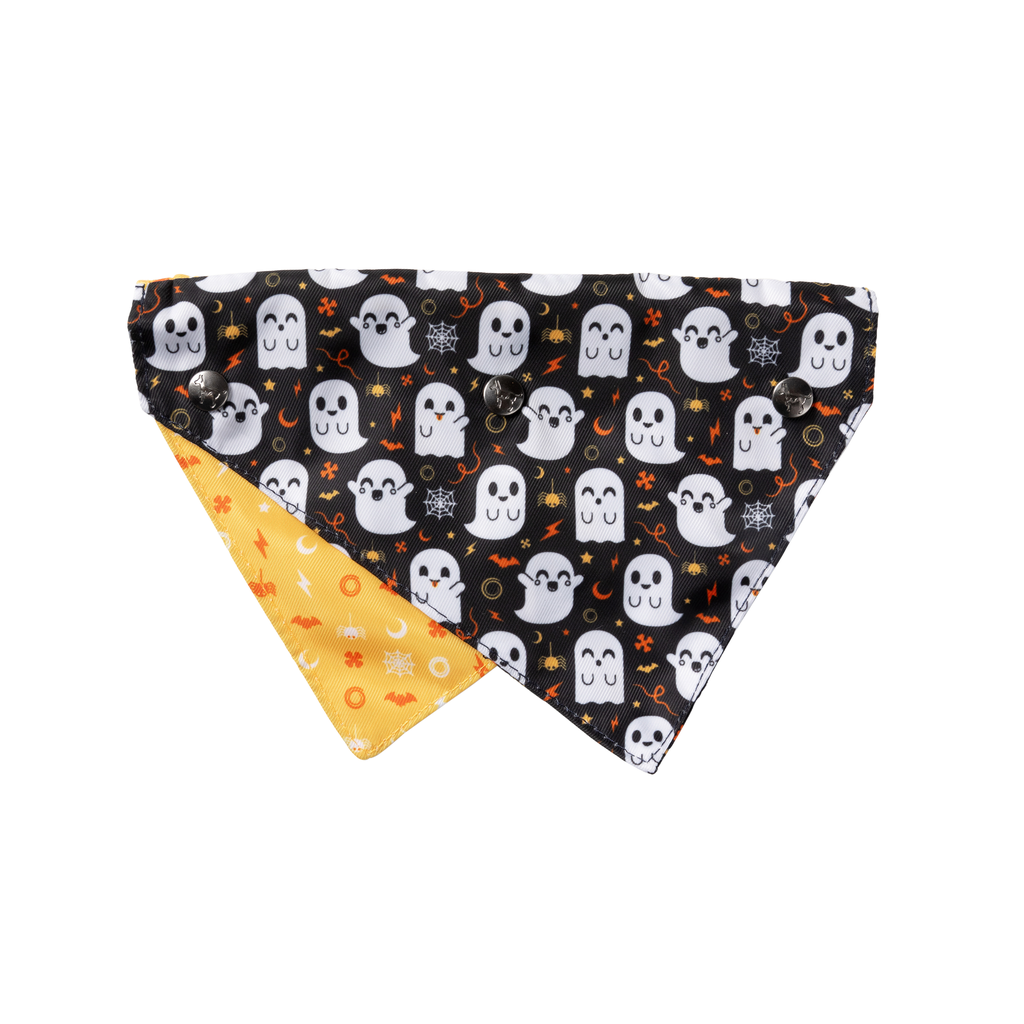 Bandana de Halloween para perros y gatos FuzzYard Peek-A-Boo