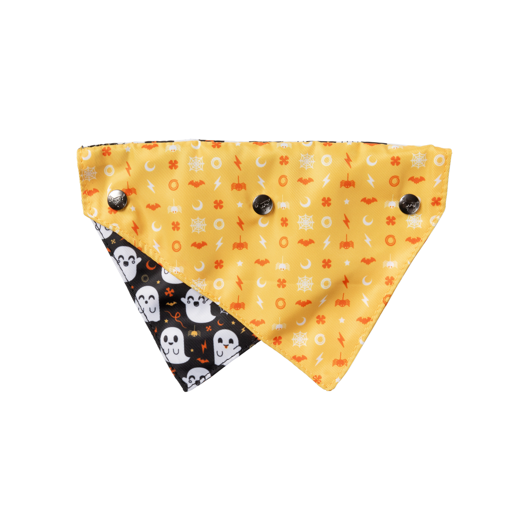 Peek-A-Boo – Bandana für Hunde und Katzen