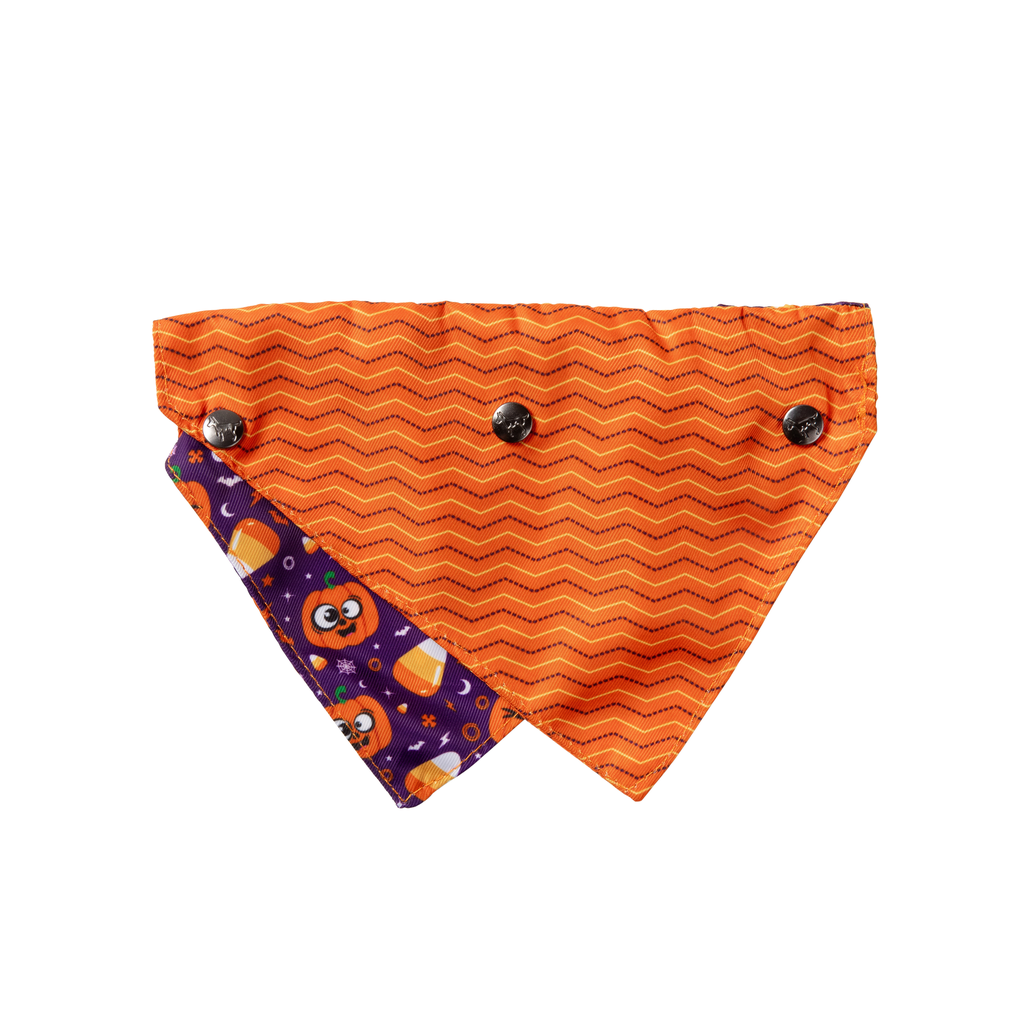 Goofy Gourds - Bandana para perros y gatos