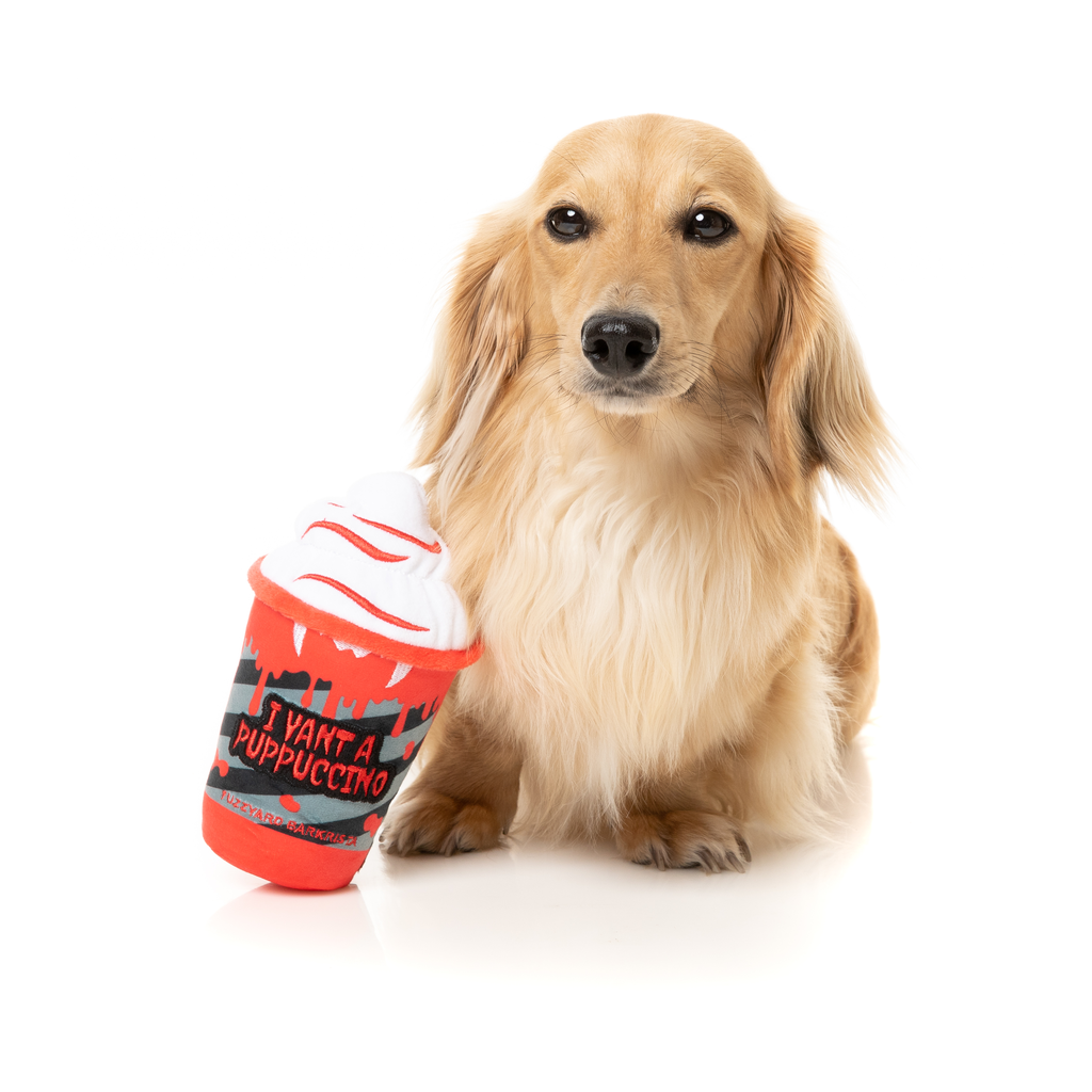 ICH GEHE ZU PUPPUCCINO – HUNDESPIELZEUG