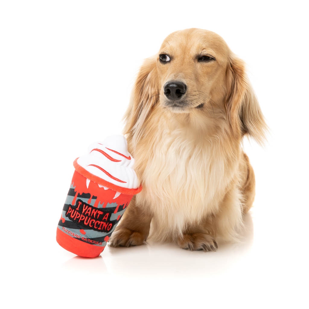 ICH GEHE ZU PUPPUCCINO – HUNDESPIELZEUG