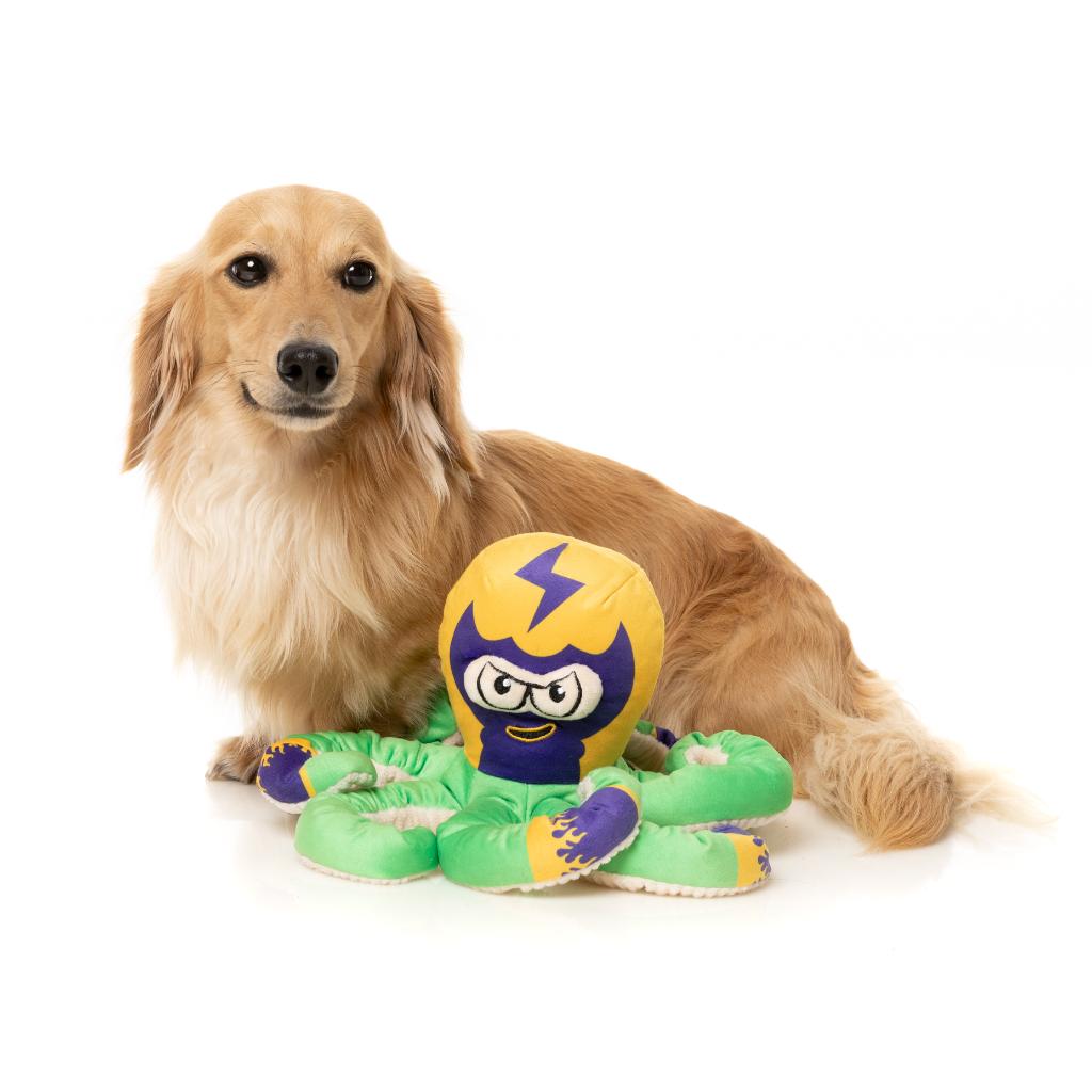 Octo Pose Dog Toy - Octo the Outrageous