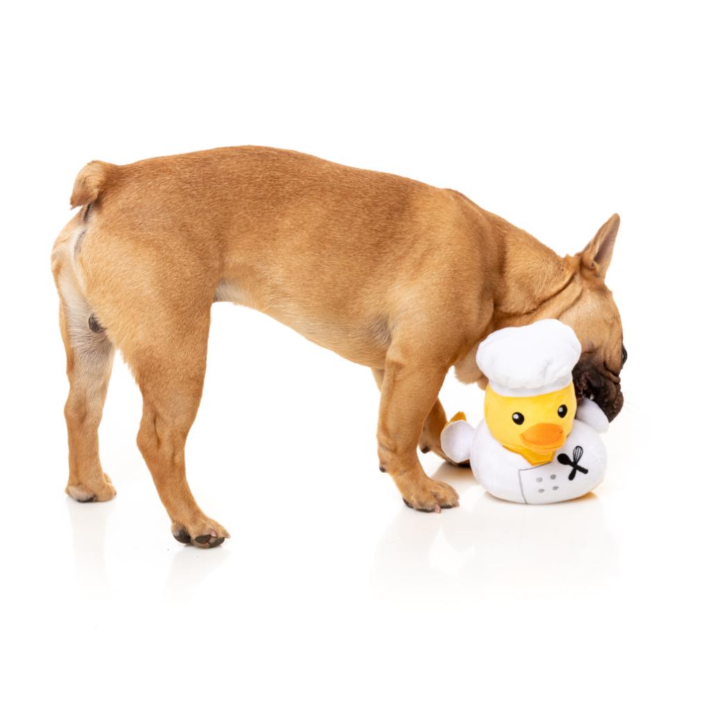 Quackson Five Dog Toy - Gordon Quacksay