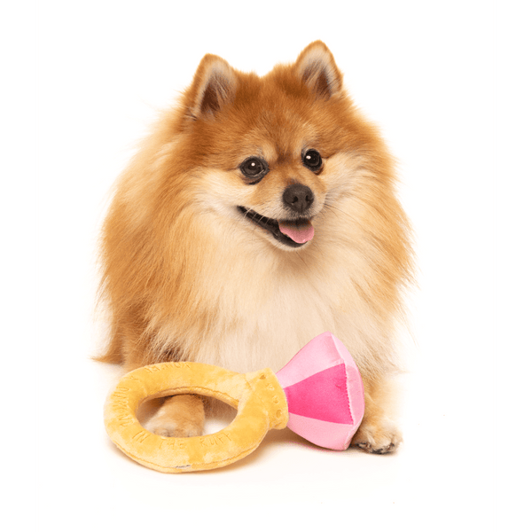 Diamond In The Ruff Ring – Love Collection Toy – Hundespielzeug