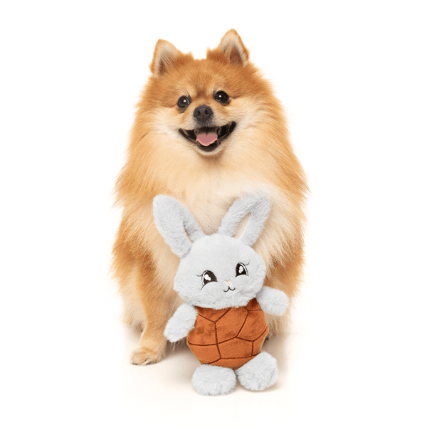 Choc Belly Bunny – Hundespielzeug