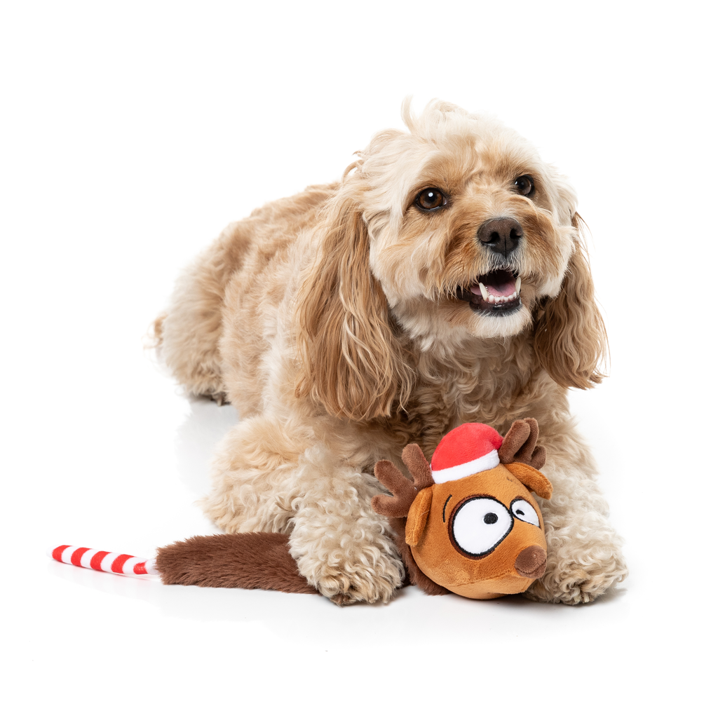 FuzzYard Juguete de Navidad - Run Away Reindeer