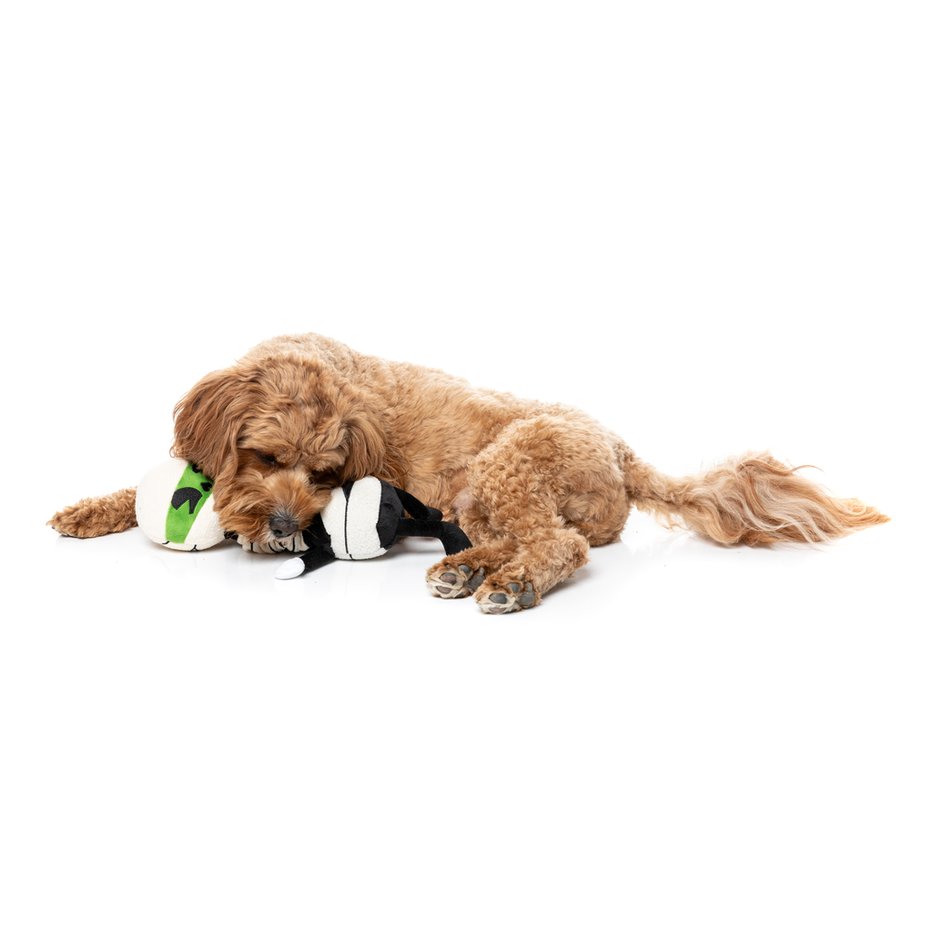 RICK WRAPSLEY – HUNDESPIELZEUG