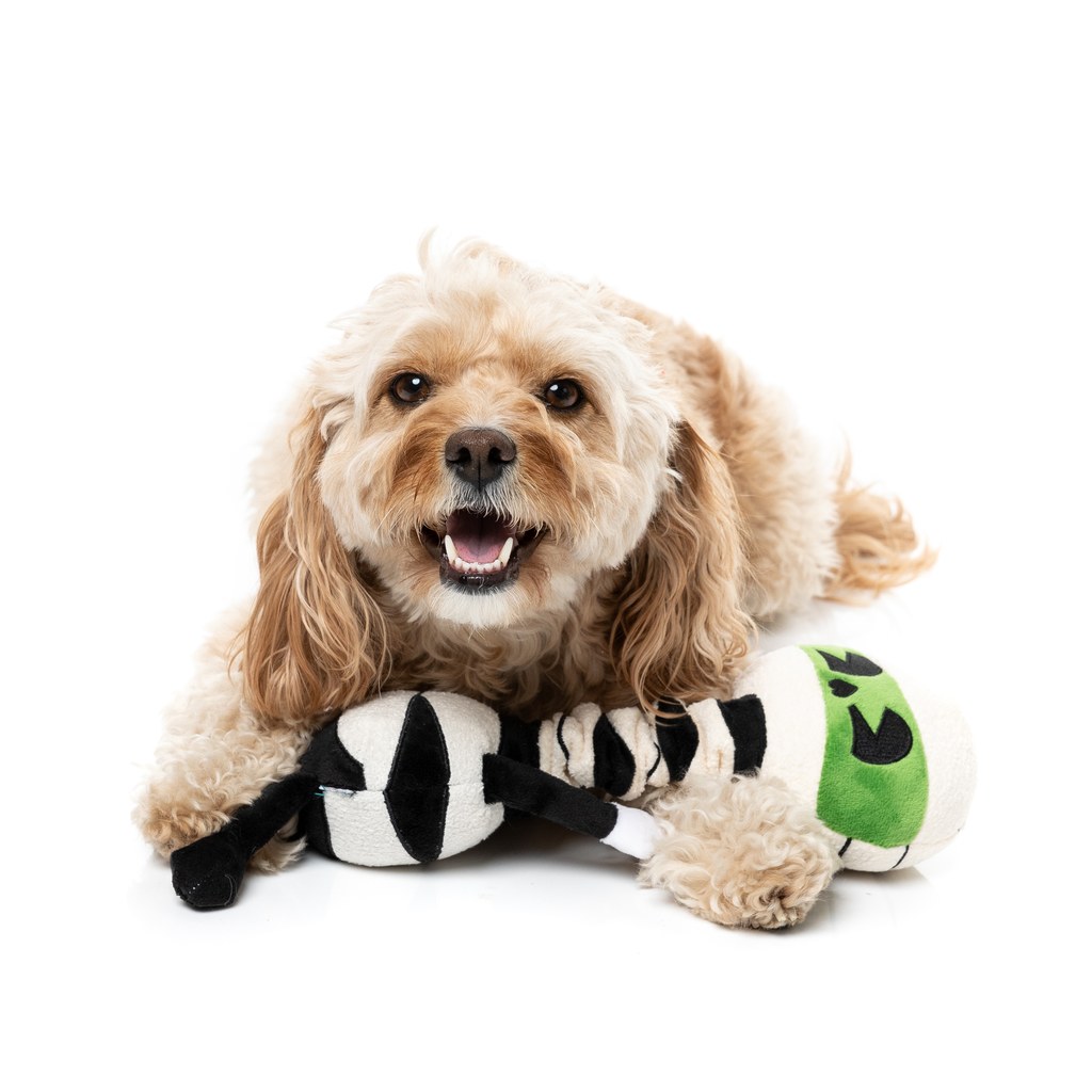 RICK WRAPSLEY – HUNDESPIELZEUG