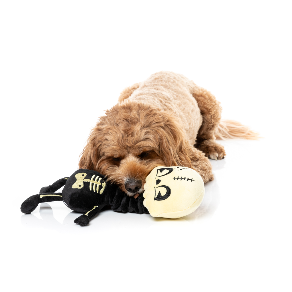 JERRY SPINEFELD – HUNDESPIELZEUG