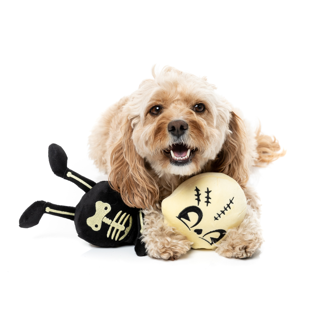 JERRY SPINEFELD – HUNDESPIELZEUG