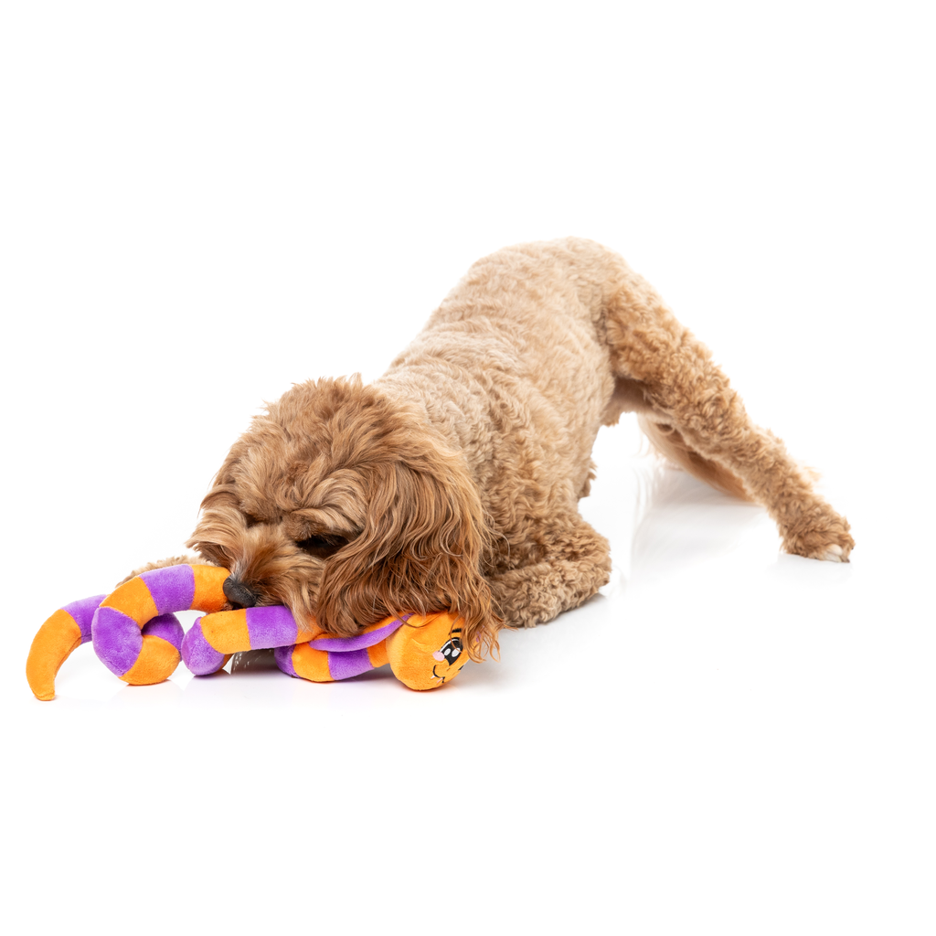 SSS-TEVEN THE SNAKE – HUNDESPIELZEUG