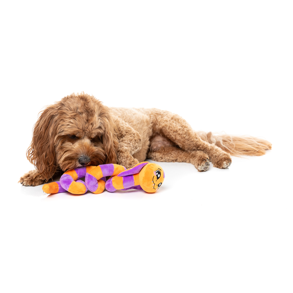 SSS-TEVEN THE SNAKE – HUNDESPIELZEUG