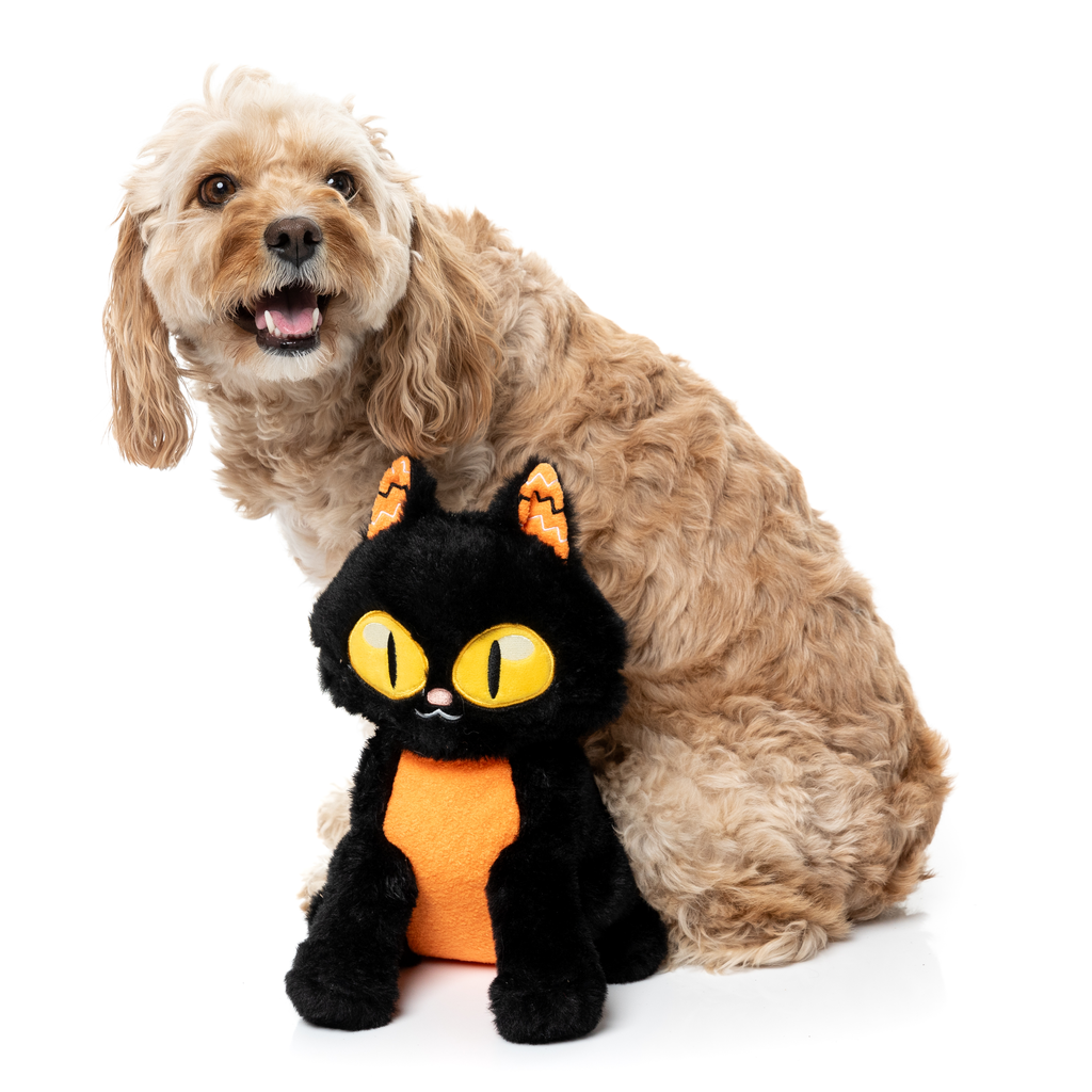 PURRSEPHONE – HUNDESPIELZEUG