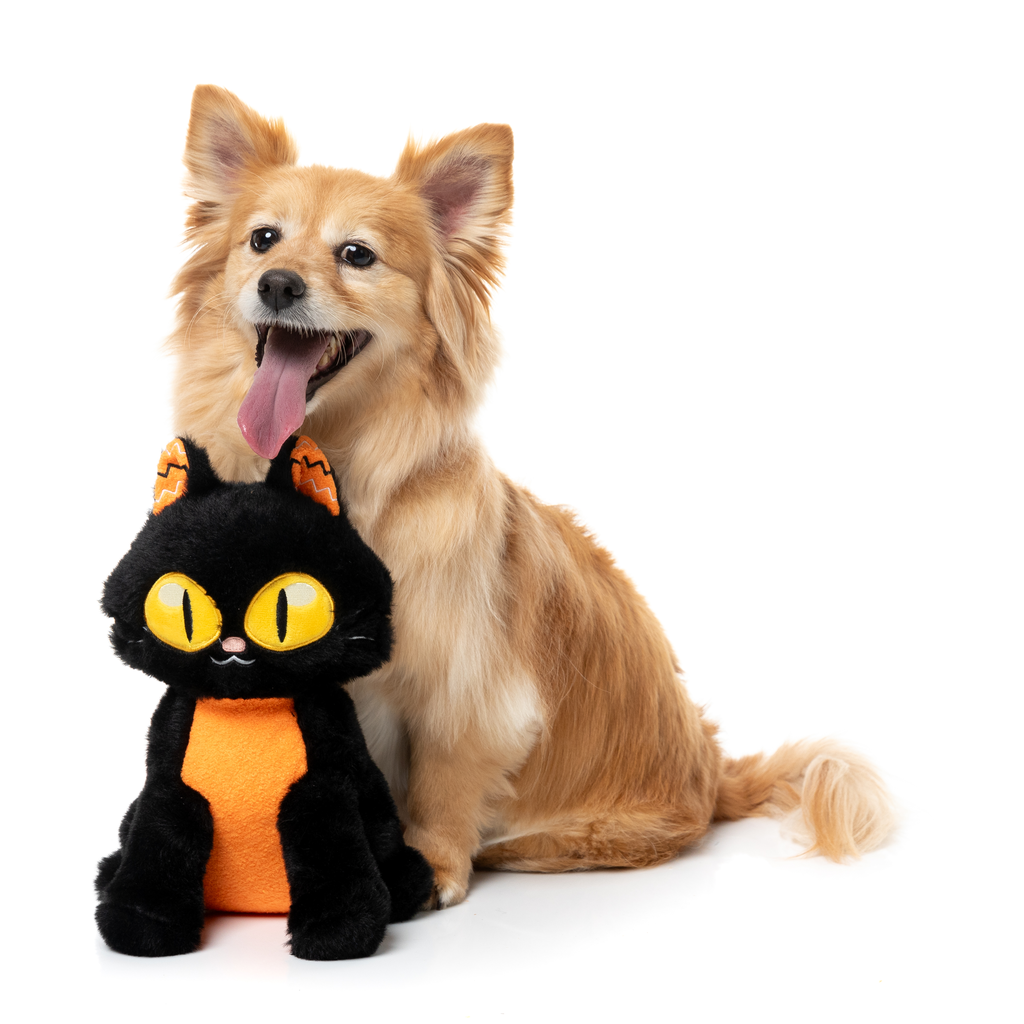 PURRSEPHONE – HUNDESPIELZEUG