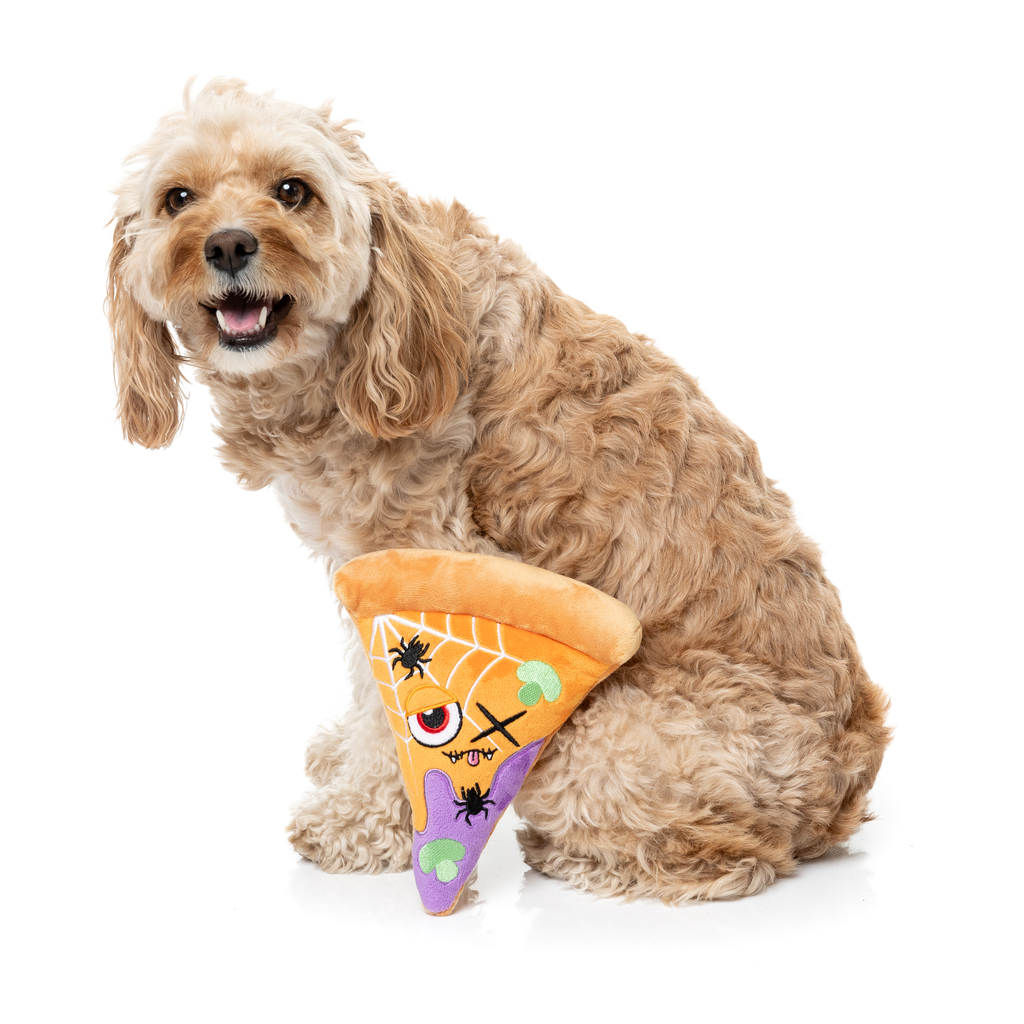 WEB-ERONI PIZZ – HUNDESPIELZEUG
