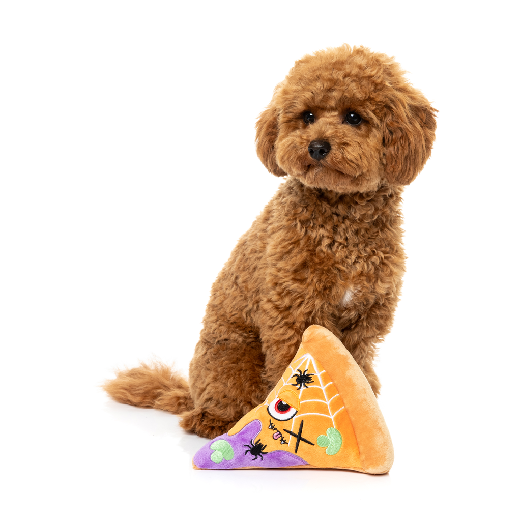 WEB-ERONI PIZZ – HUNDESPIELZEUG