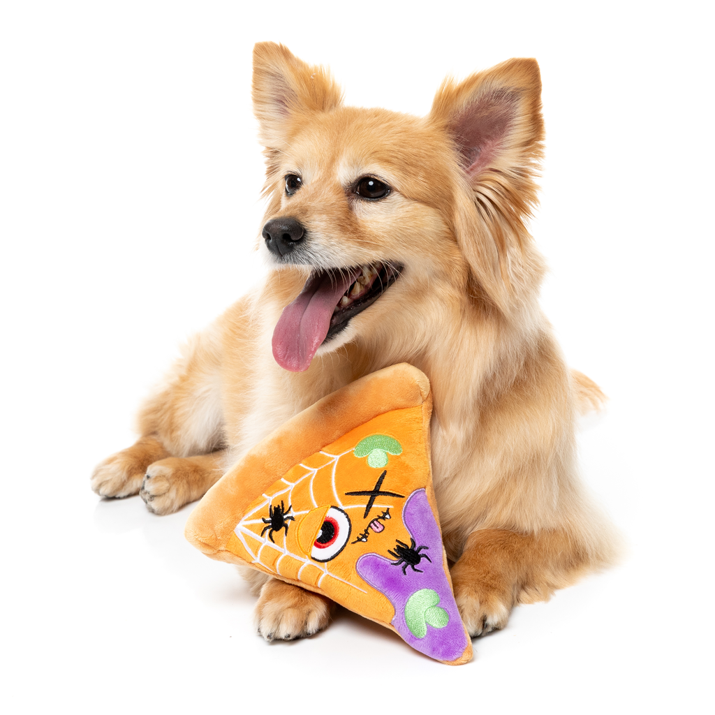 WEB-ERONI PIZZ – HUNDESPIELZEUG