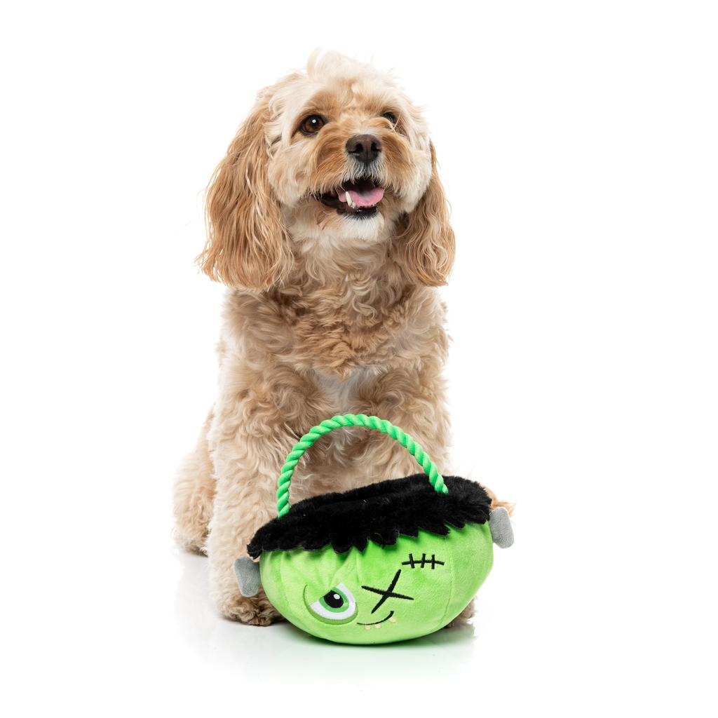 FRANKEN BASKET – SPIELZEUG FÜR HUNDE