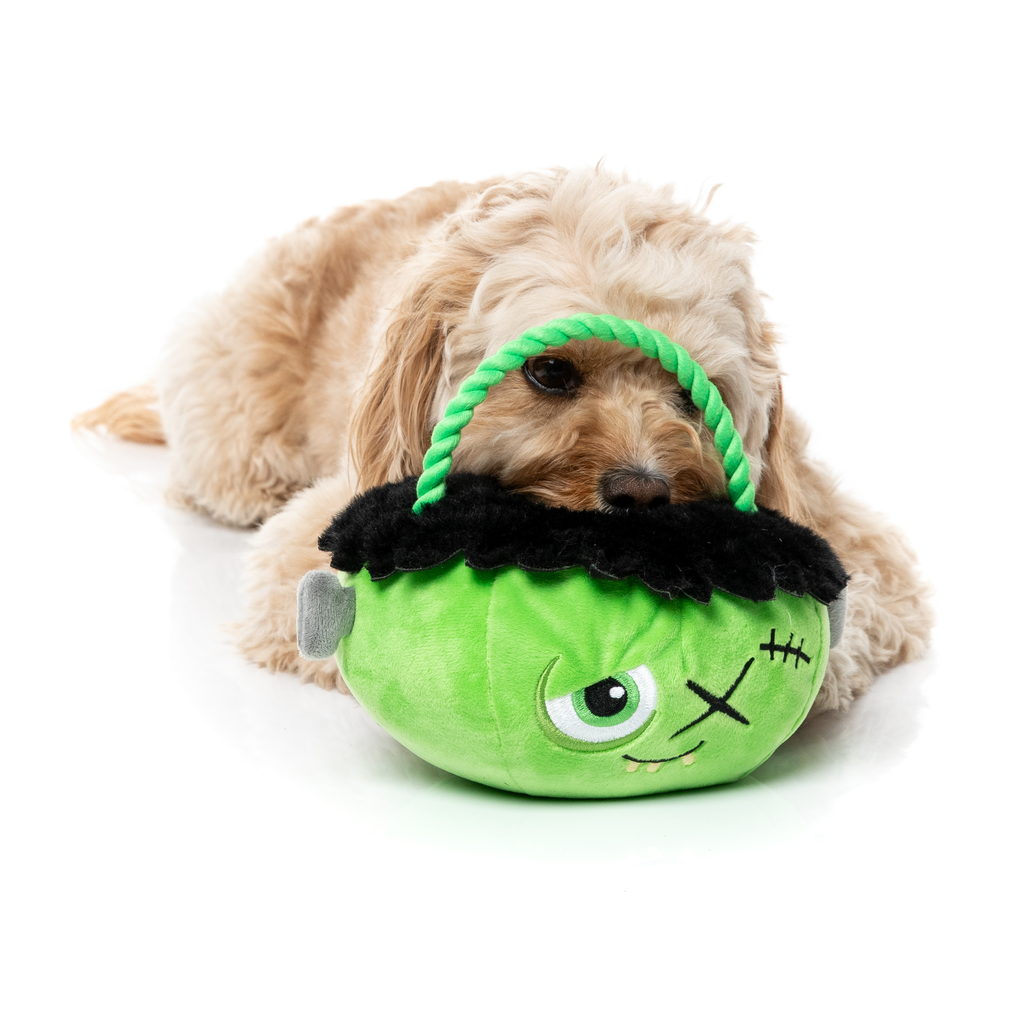 FRANKEN BASKET – SPIELZEUG FÜR HUNDE
