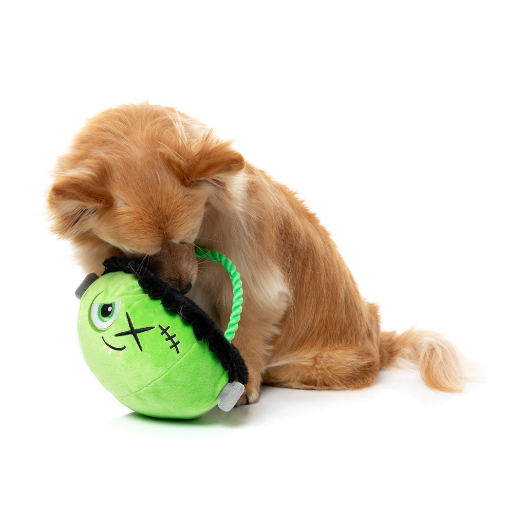 FRANKEN BASKET – SPIELZEUG FÜR HUNDE