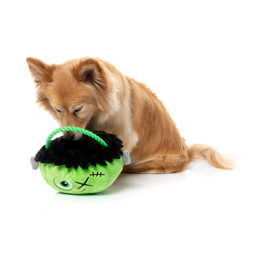FRANKEN BASKET – SPIELZEUG FÜR HUNDE