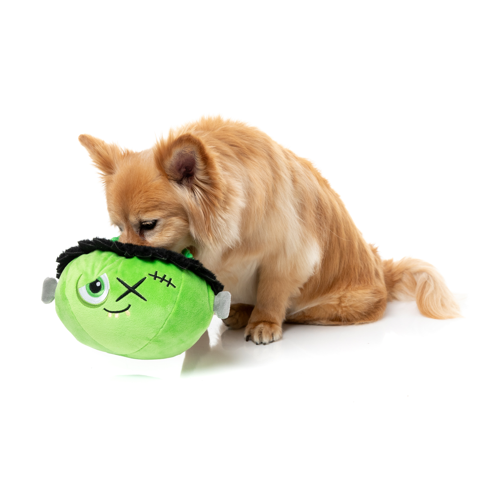 FRANKEN BASKET – SPIELZEUG FÜR HUNDE