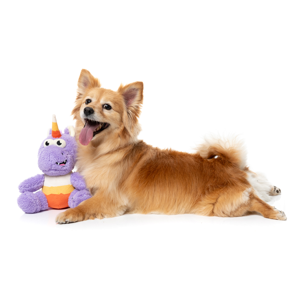 CANDY CORN ELECTRA – HUNDESPIELZEUG