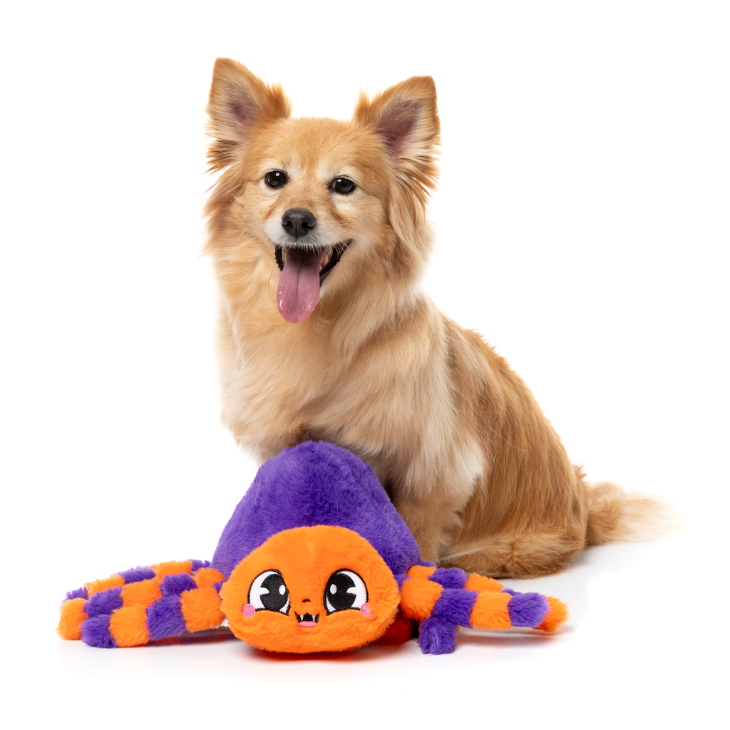 TARANTINA THE SPIDER – HUNDESPIELZEUG