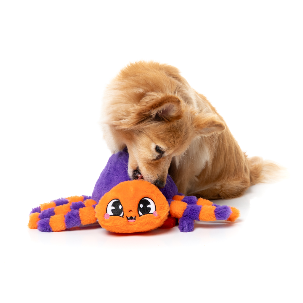 TARANTINA THE SPIDER – HUNDESPIELZEUG