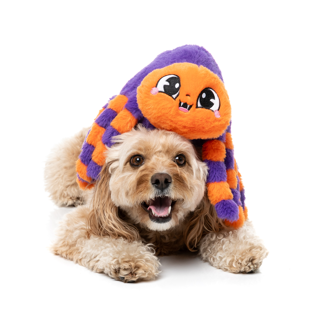 TARANTINA THE SPIDER – HUNDESPIELZEUG