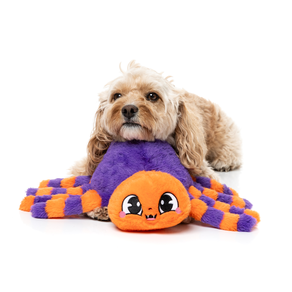 TARANTINA THE SPIDER – HUNDESPIELZEUG