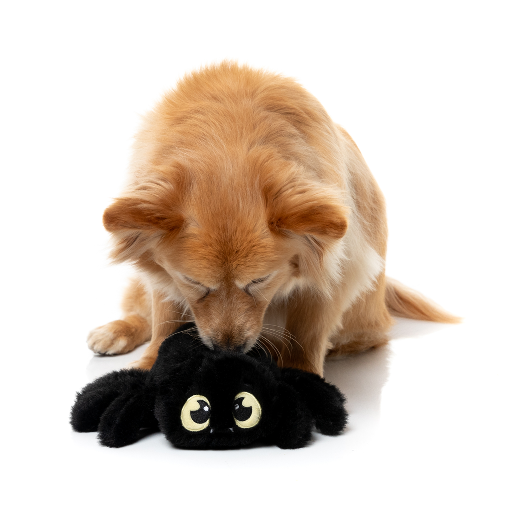 WEBASTIAN THE RED BACK – HUNDESPIELZEUG