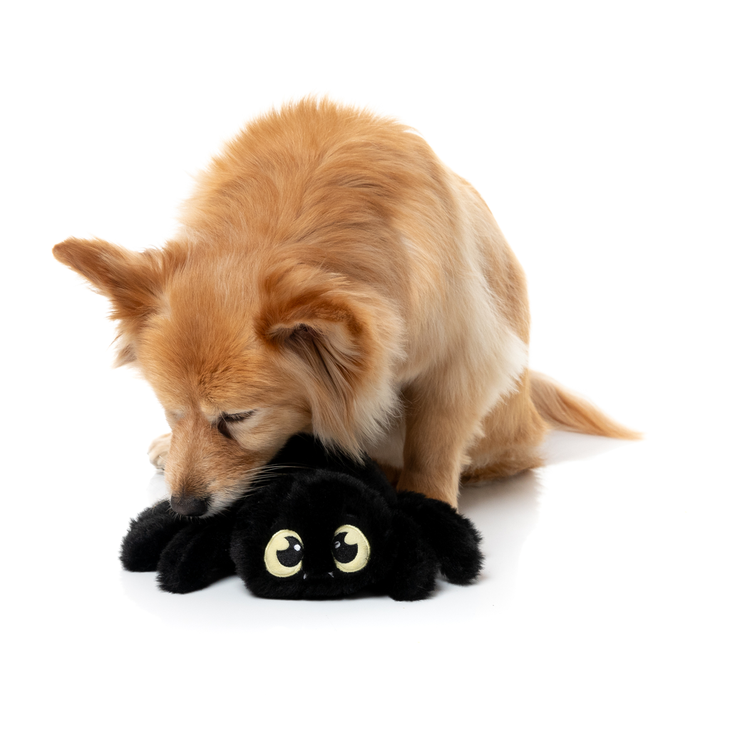 WEBASTIAN THE RED BACK – HUNDESPIELZEUG