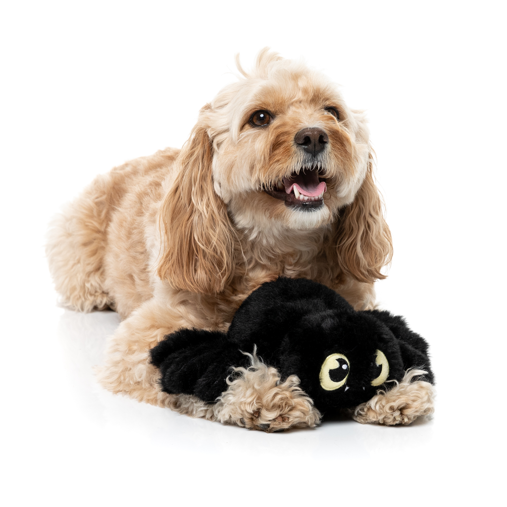 WEBASTIAN THE RED BACK – HUNDESPIELZEUG